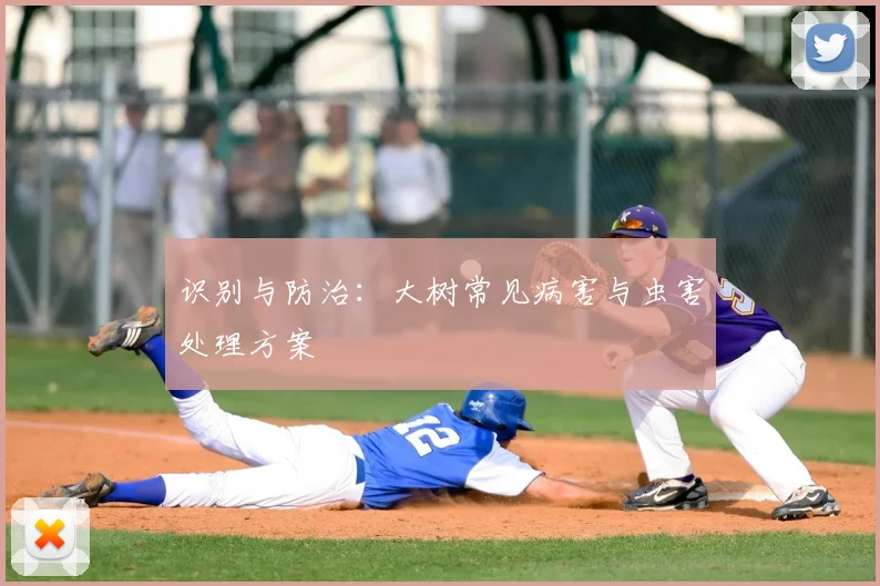 识别与防治：大树常见病害与虫害处理方案