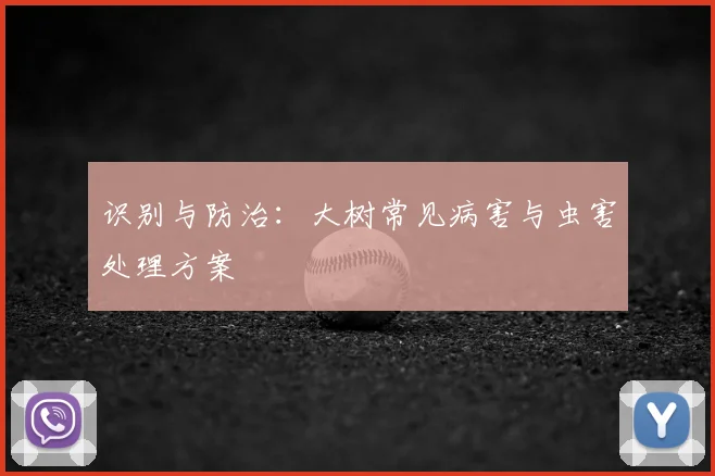 识别与防治：大树常见病害与虫害处理方案