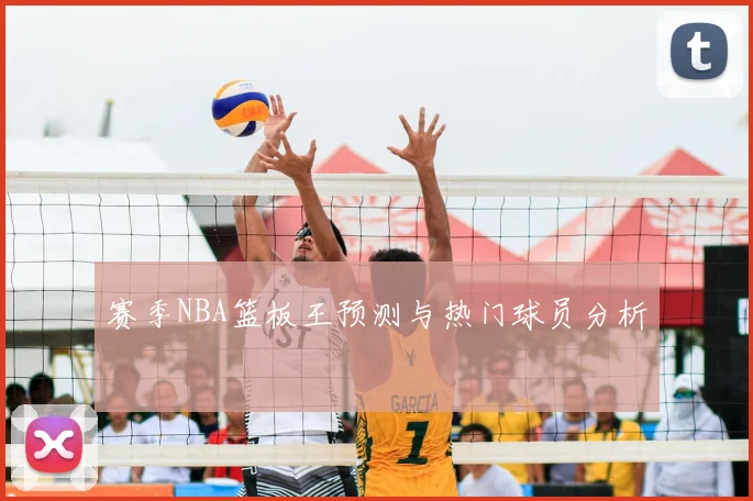 赛季NBA篮板王预测与热门球员分析